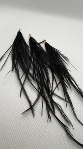 Black Feather